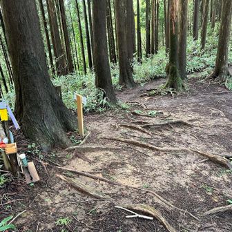 合流、ババ谷から下山します