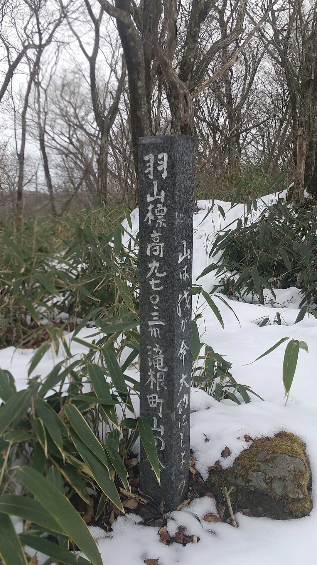 雪道だけど、山頂に20分で着きました💕