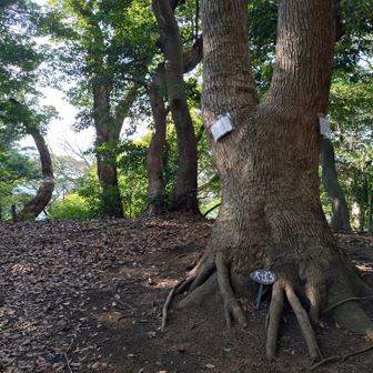 みっつめ、大つぶら