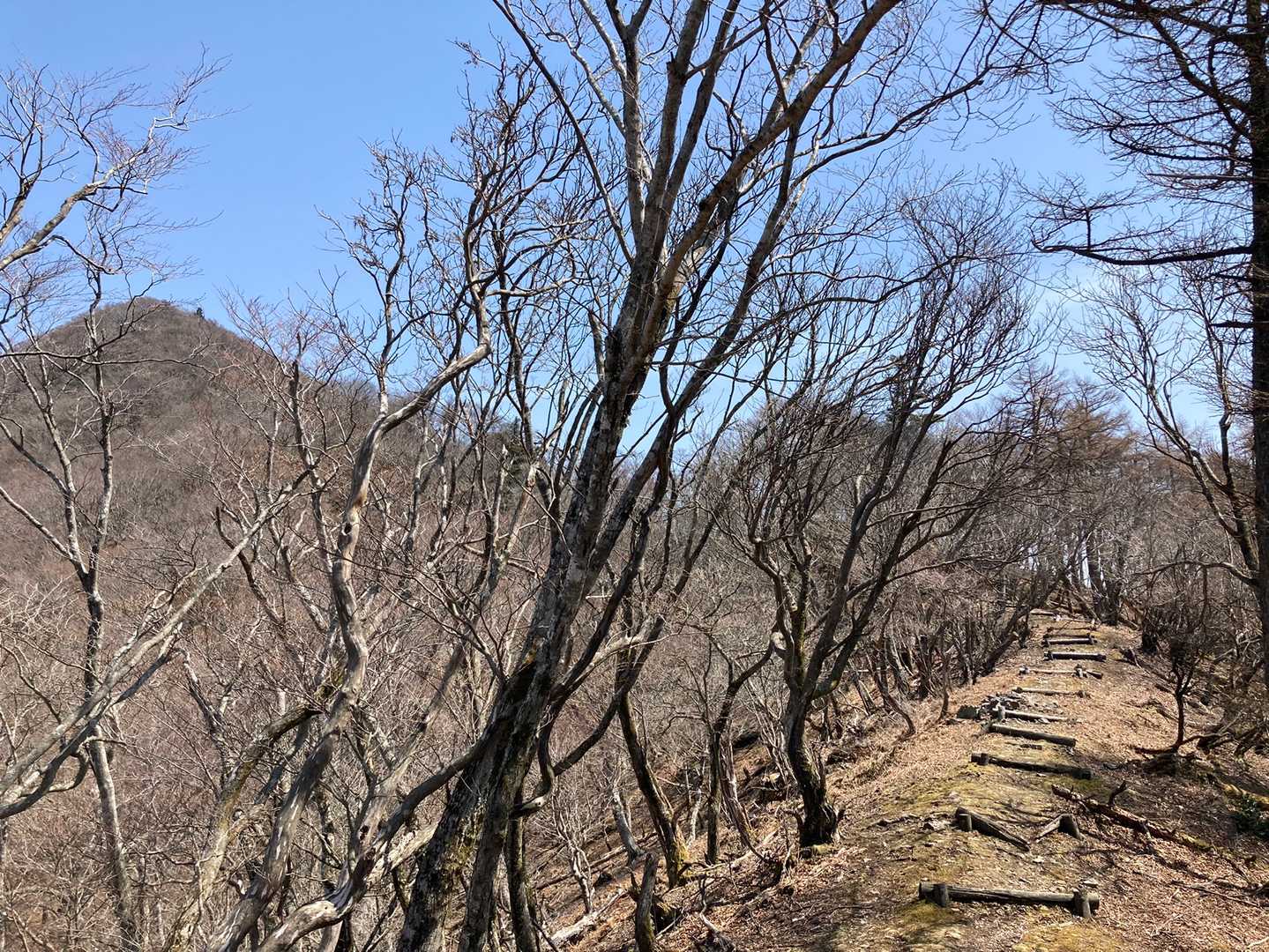 滝山が近づいて来ました⛰