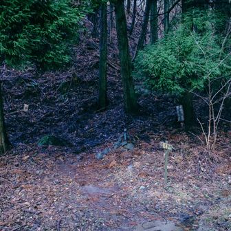 ここから鷹巣山にいくはずだった。