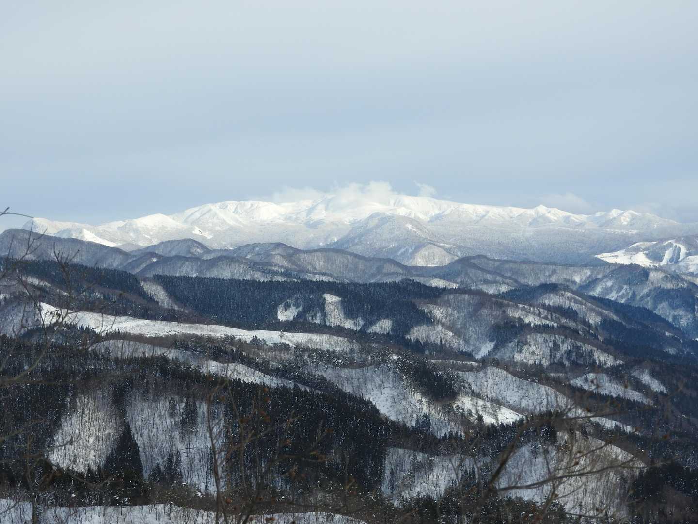真人山 往復コースの写真