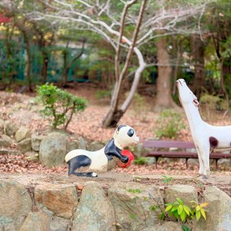 ロープウェイが 休み

まさかなーー

Googleだと 明日が休みだったはずやし