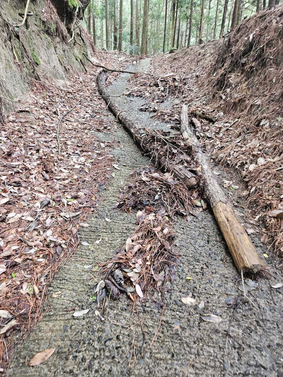 福見山 往復コースの写真