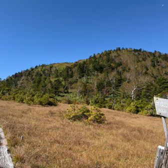 小田代
目の前に見えるのが田代山⛰️