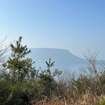 霞んでましたが、屋島が見えます✨