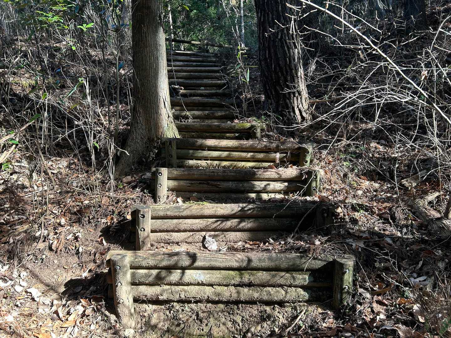 登山道の始まり