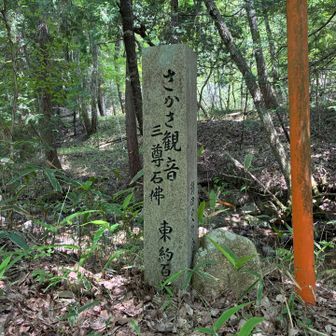 逆さ観音の分岐点
