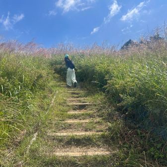写真撮りたくなる箇所たくさん