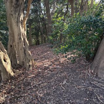 ここからは下り。