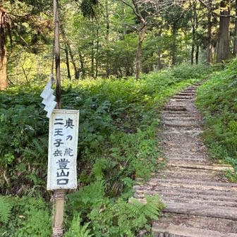 なだらかな登り😊でも、4号目くらいまで急登😆