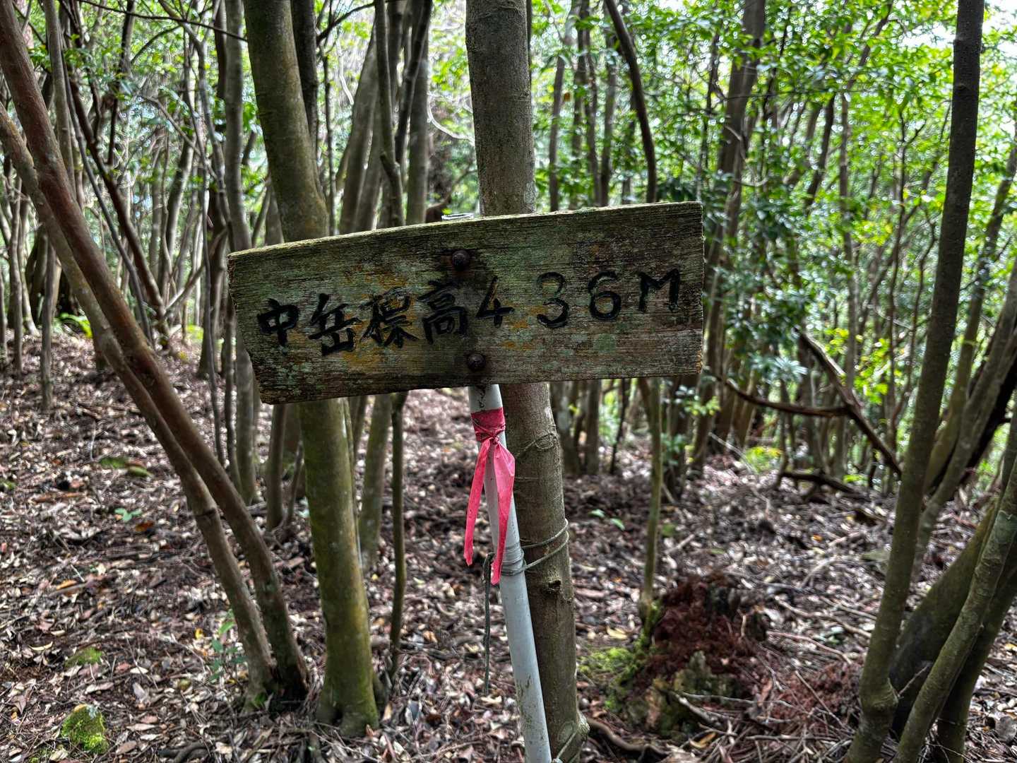中岳