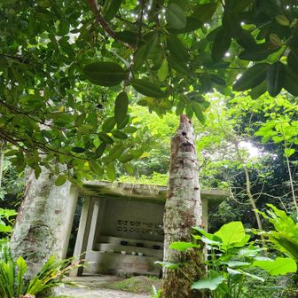 到着！
ジャングルの中でした