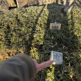 そんなこんなで サクサクっと

南高城へ😂