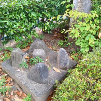 さらに志賀山へ。公園にある三角点