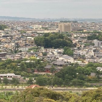 平等院を望む