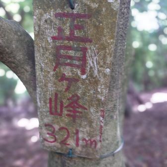 正月休みに見えてきた(T_T)