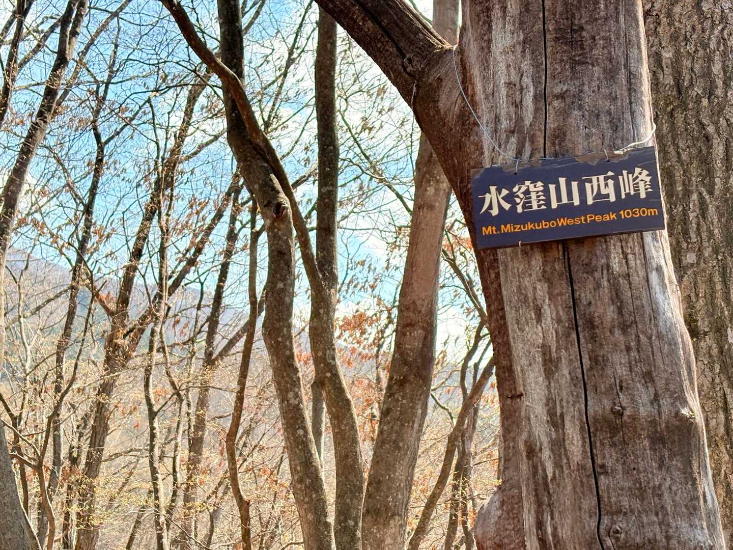 水窪山西峰⛰️眺望無し