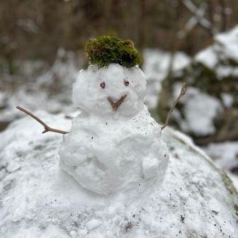 誰かがこしらえた雪だるま見つけた
かわいい☺️

今シーズンは去年よりたくさん雪の上を歩きたいな〜⛄️