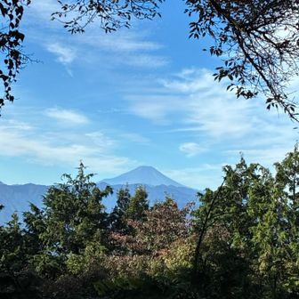 富士山が見えたので当初の予定変更して陣馬へ突貫