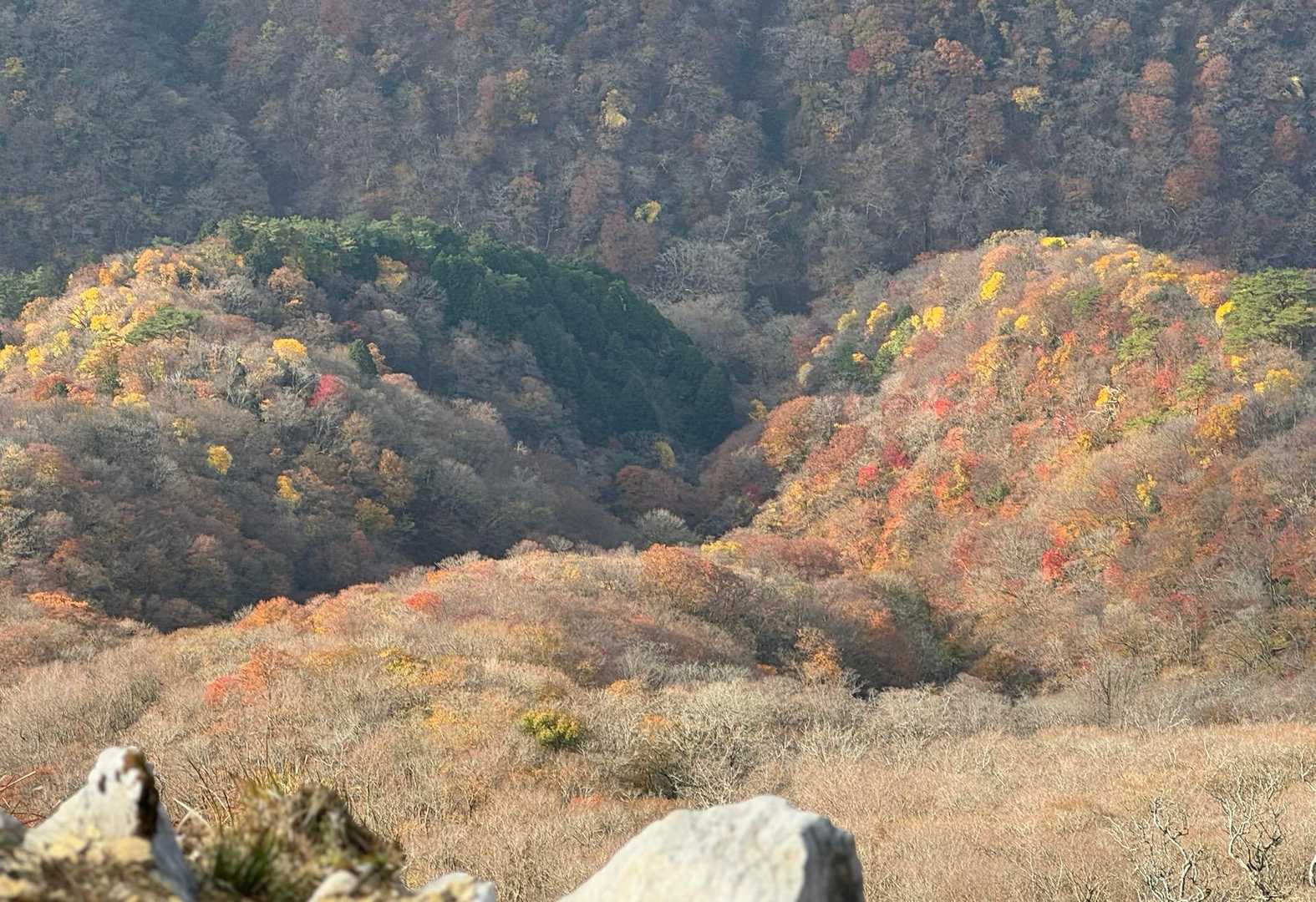 ここは相性が悪くいつもガスガス真っ白
でも今日は綺麗な紅葉が見れてよかった