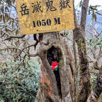 師匠の窟籠り😳