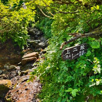上二股
旧道と新道との合流点