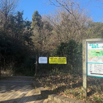 少し園内を歩き、ここを入っていく。