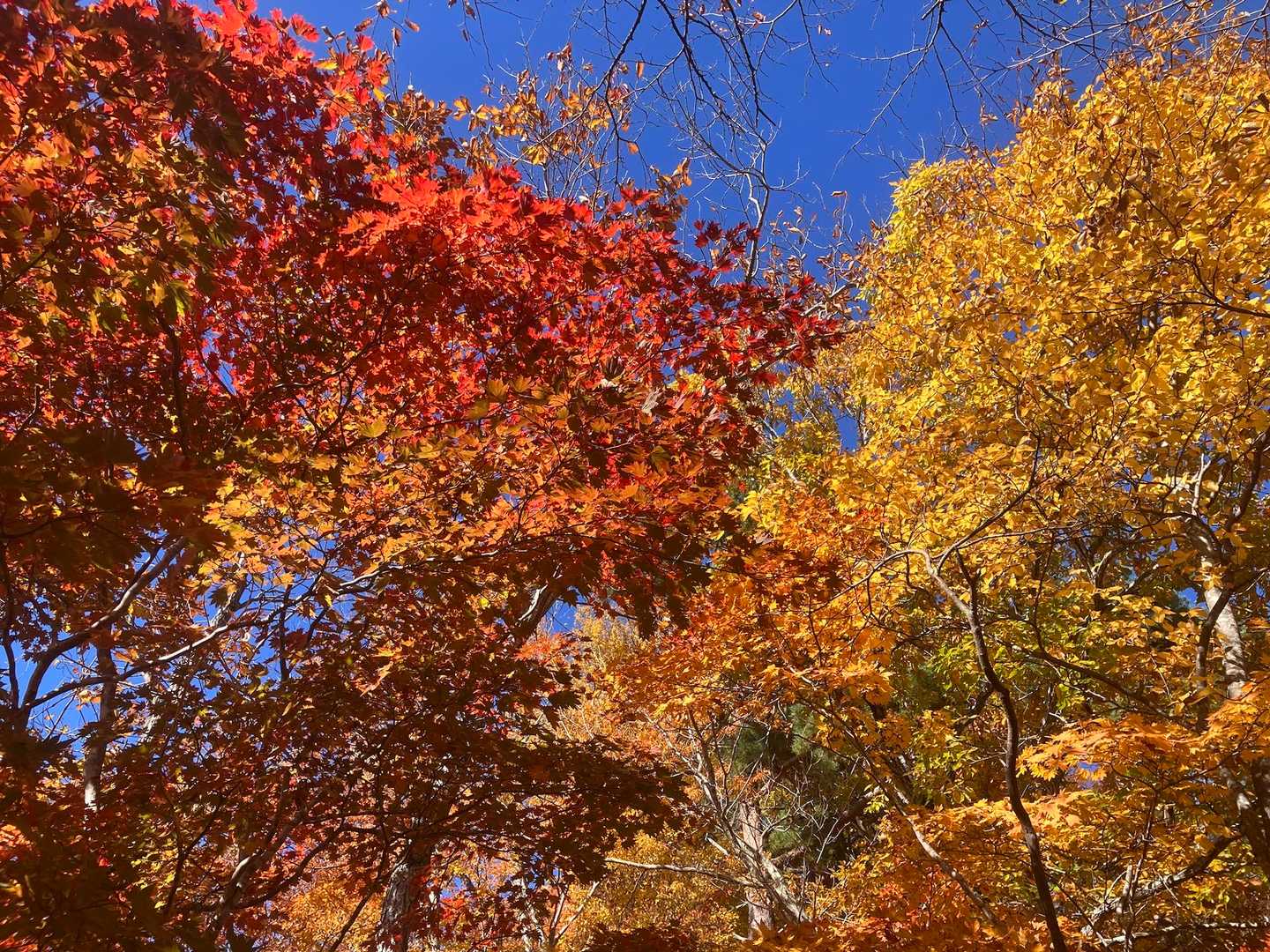 写真撮影の為足が進みません🤗登りだからゆっくりでちょうど良い😆