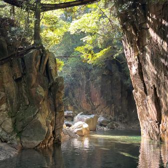 奥の岩に神降臨✨✨
スポットライトあたってた！

暑かったから川ん中気持ちよかった👍
この景色見てたら心も潤った気がする

大杉谷みたいな秘境感✨
