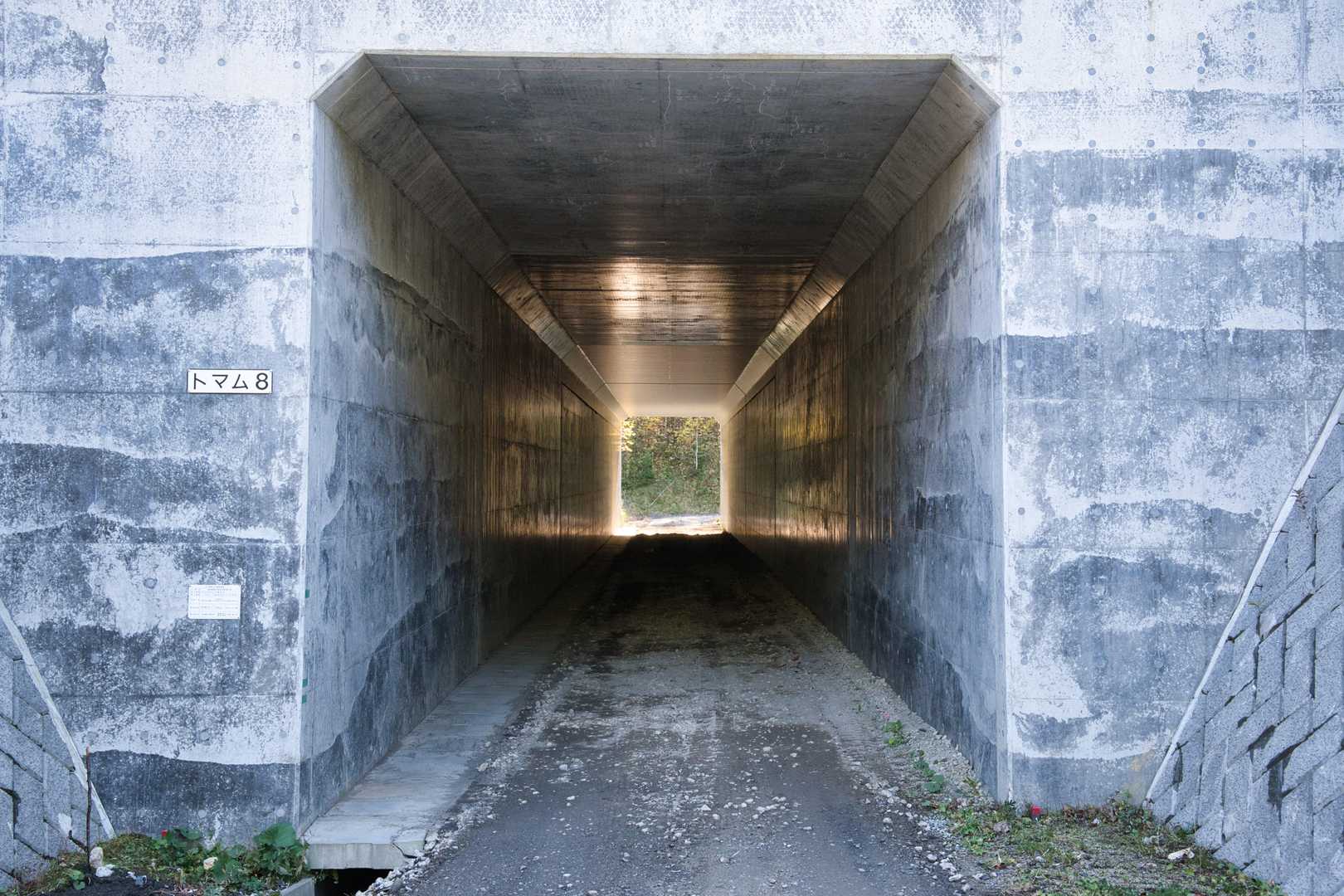 トンネルを潜って登山口へ👆
歩いて300mほどのアプローチです🚶‍➡️