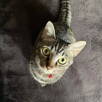 つくしお母さん