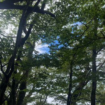 今日唯一青空