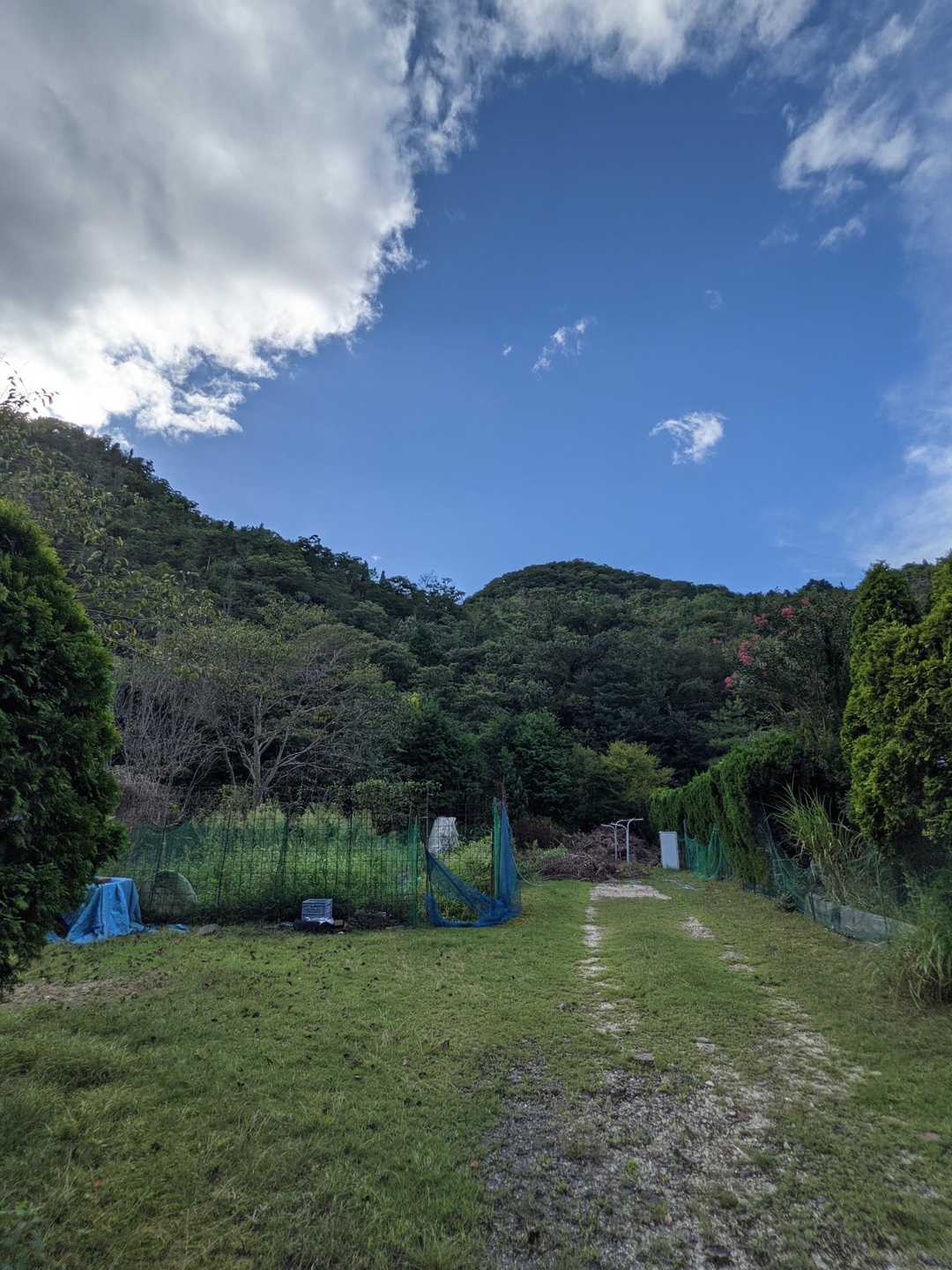 奥に見えるのが天王山かな?😙