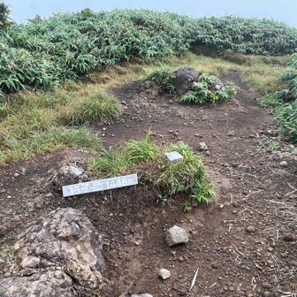 二座目、杓子岳に登頂
ここは眺望が素晴らしい場所のハズですが、
360度まっ白、かなりヘコみマス