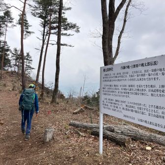 ここに“桃太郎神社”を作るんだって😳
それでこんなに伐採してるんだ。