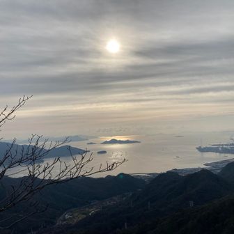 松が眺める瀬戸内海
光鮮やかな海を眺めることができました
