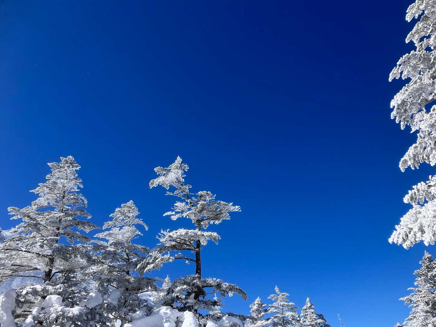 まだこの辺は風もなく気持ちいい