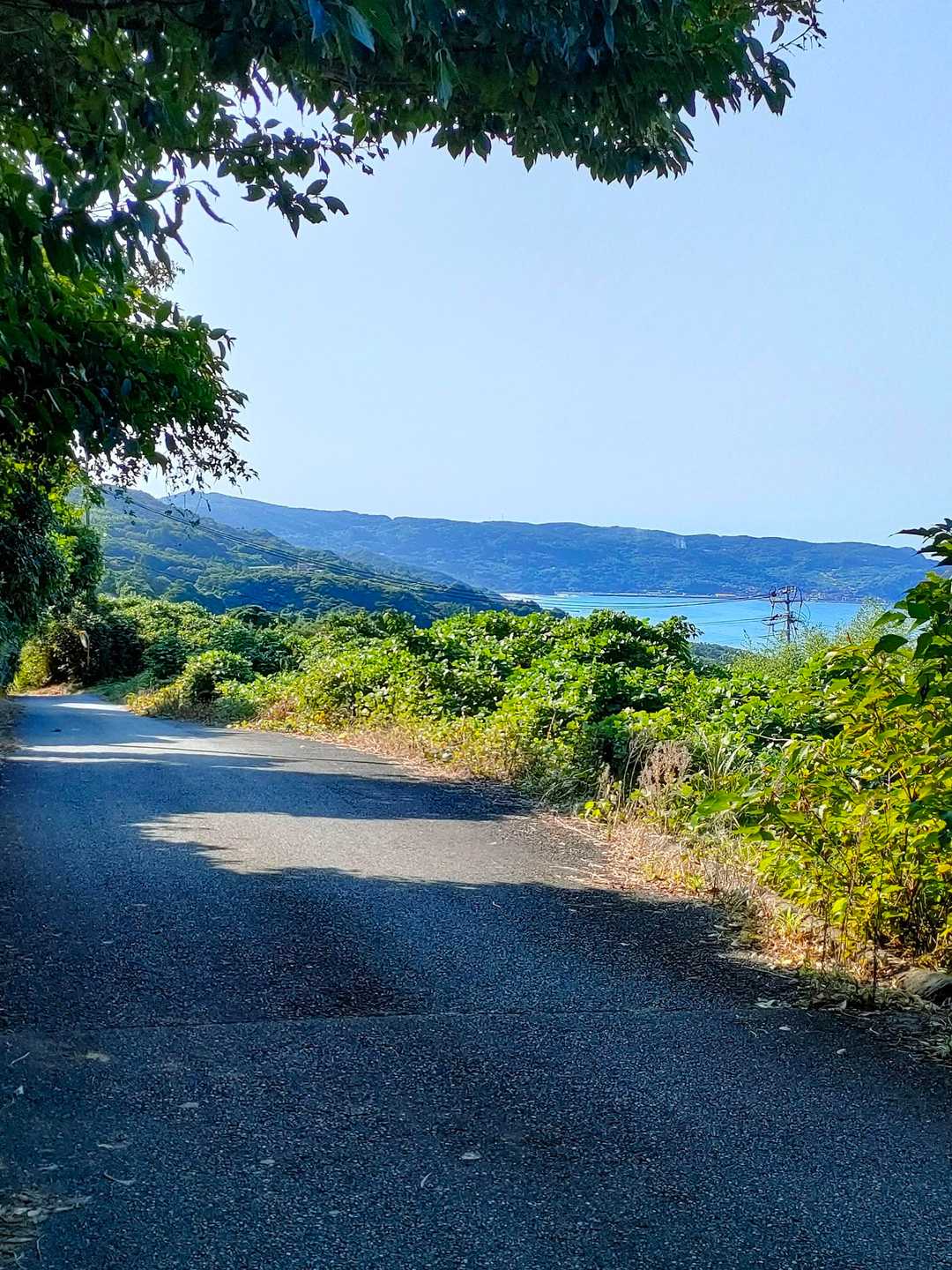 棚田や🌊海を見ながらの歩きは楽しいー🥰🎶
でも、長かった〜😂
