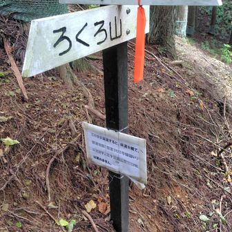 ここから右に下ります👣