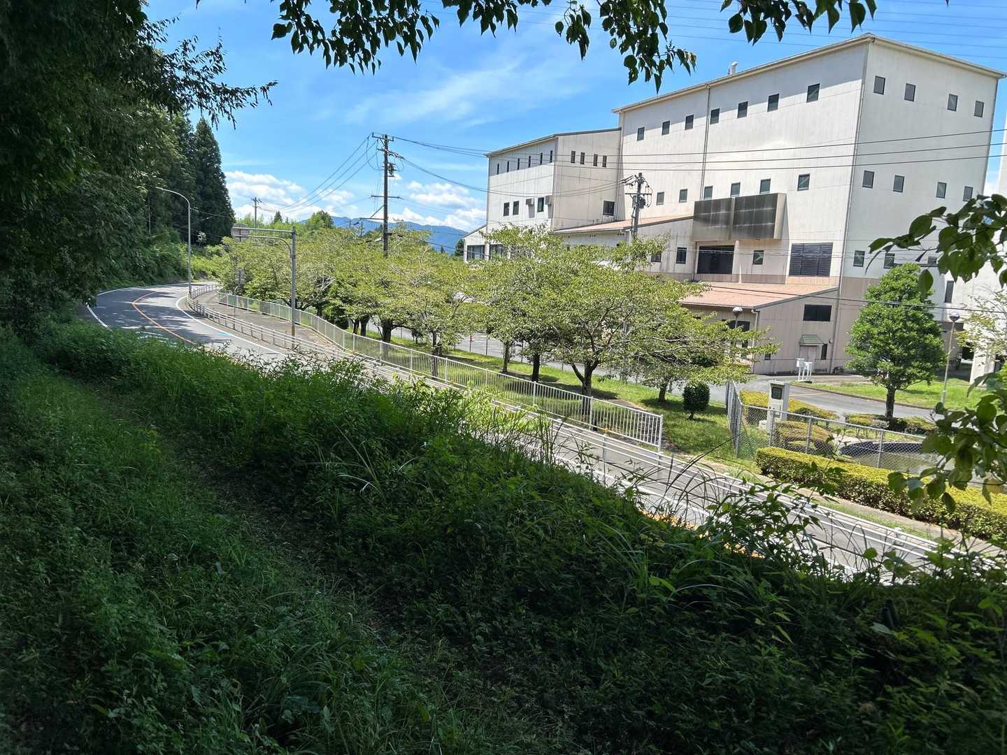 帰ってきたよ。