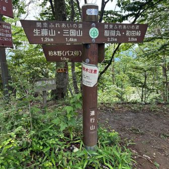 連行山
最初はここから下る予定だったが、醍醐丸まで行って遠回りして帰ることに
