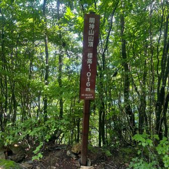 山頂到着