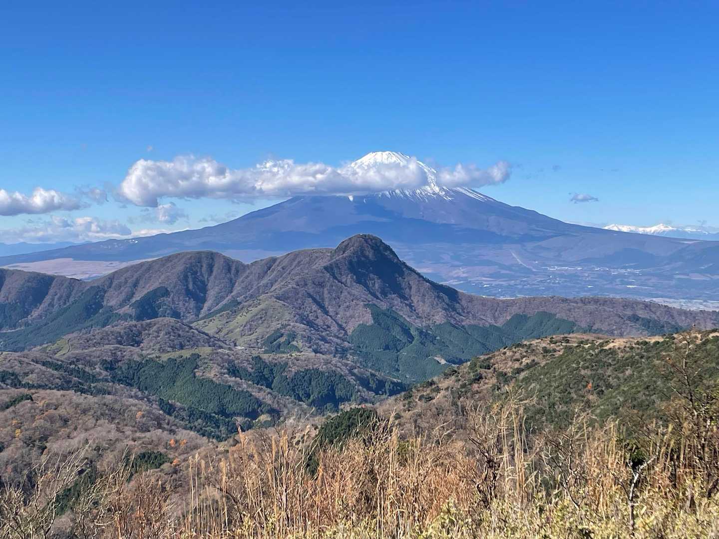 金時山の存在感よ。