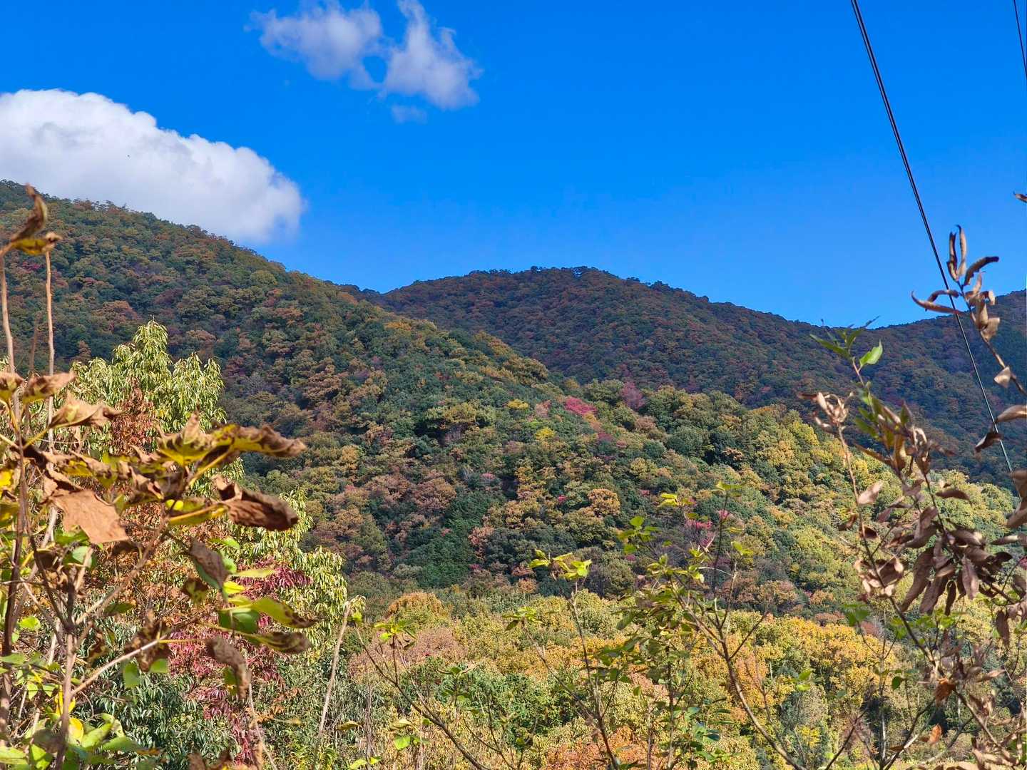 快晴で絶好の登山日和です☀