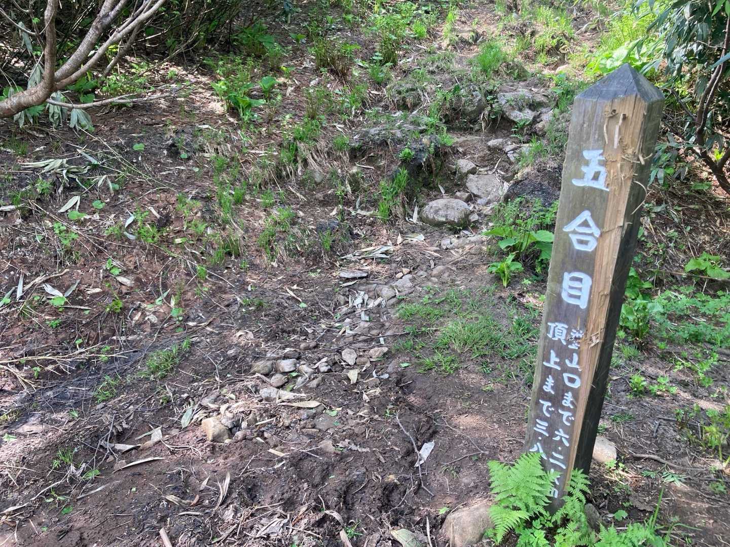 やっと五合目☺️