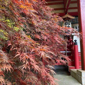 ありがとうございました