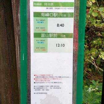 １日１便のバス