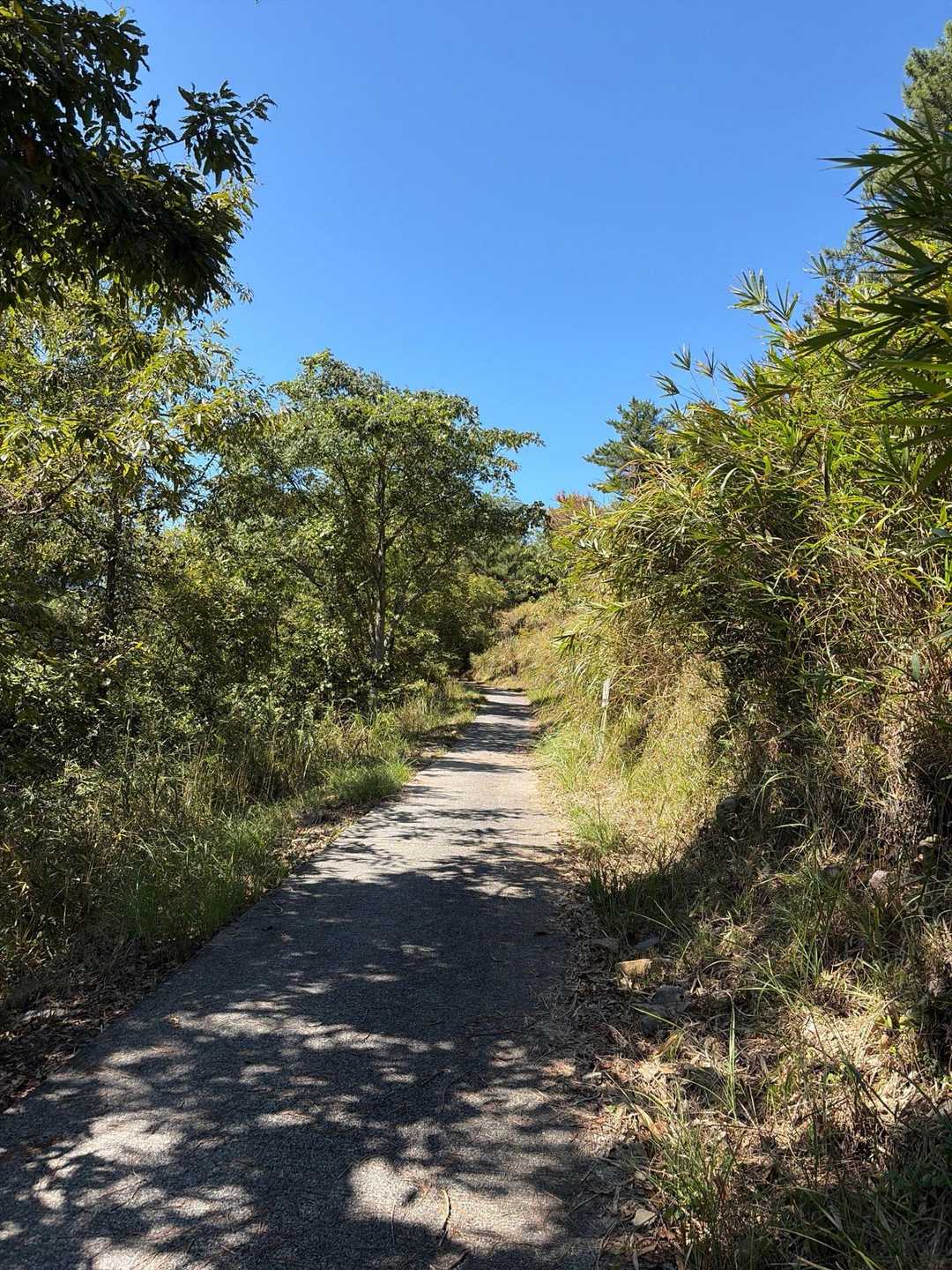 月出山岳登山口-月出山岳 往復コースの写真