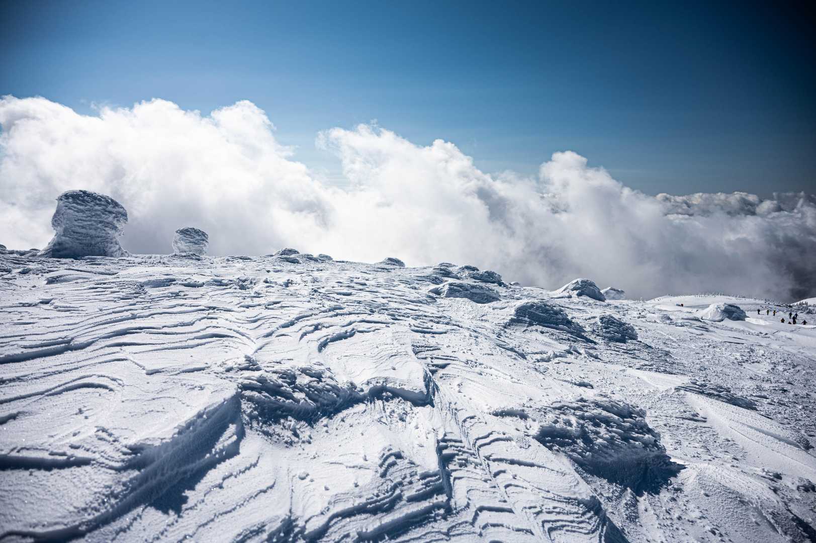ゴンドラで手軽に天空の花畑へ。360度の絶景が迎える森吉山を往復の写真